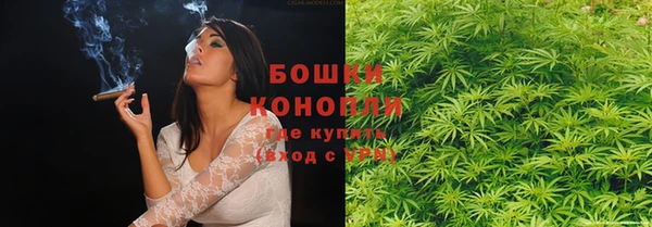 ГАЛЛЮЦИНОГЕННЫЕ ГРИБЫ Верея