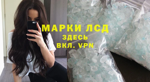 ГАЛЛЮЦИНОГЕННЫЕ ГРИБЫ Верея